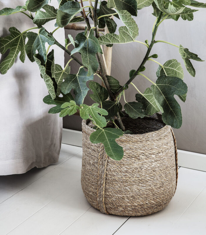 Cache pots en jonc de mer de la marque House Doctor. Idéal pour vos plantes vertes intérieures mais peut être utiliser comme rangement.